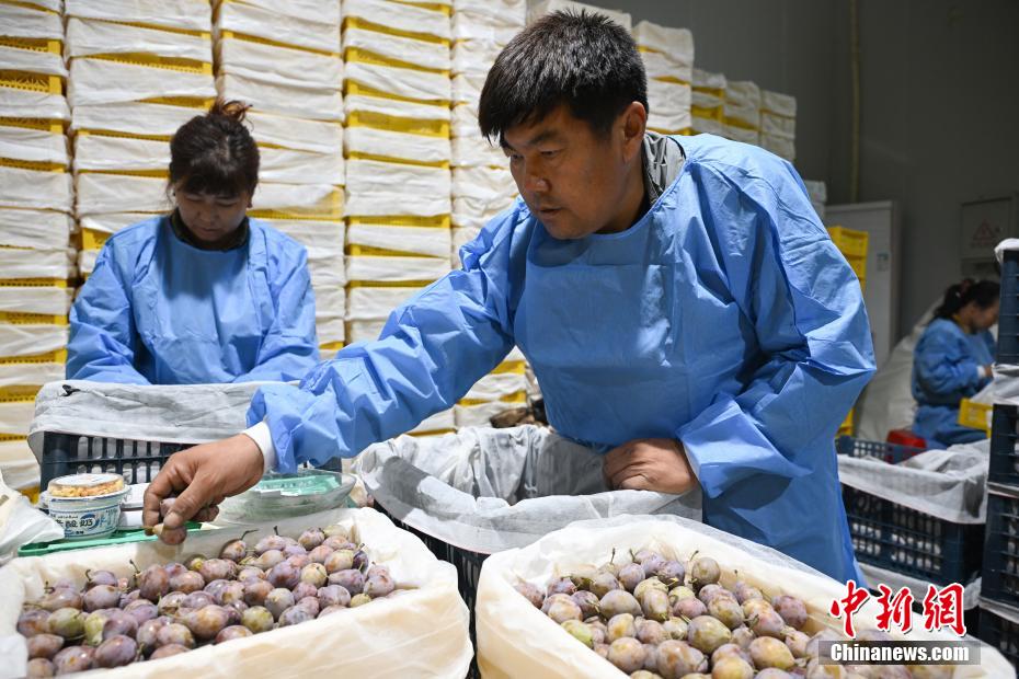 （追风逐日看新疆）探访南疆最大冷链仓储物流基地