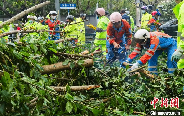 直击“摩羯”横扫后的海口：城市受损 生活秩序逐步恢复