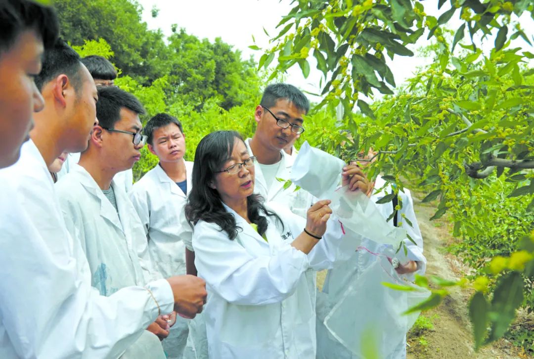 新疆生产建设兵团：边境团场的孩子乐享优质教育 | 各地教育成就巡礼