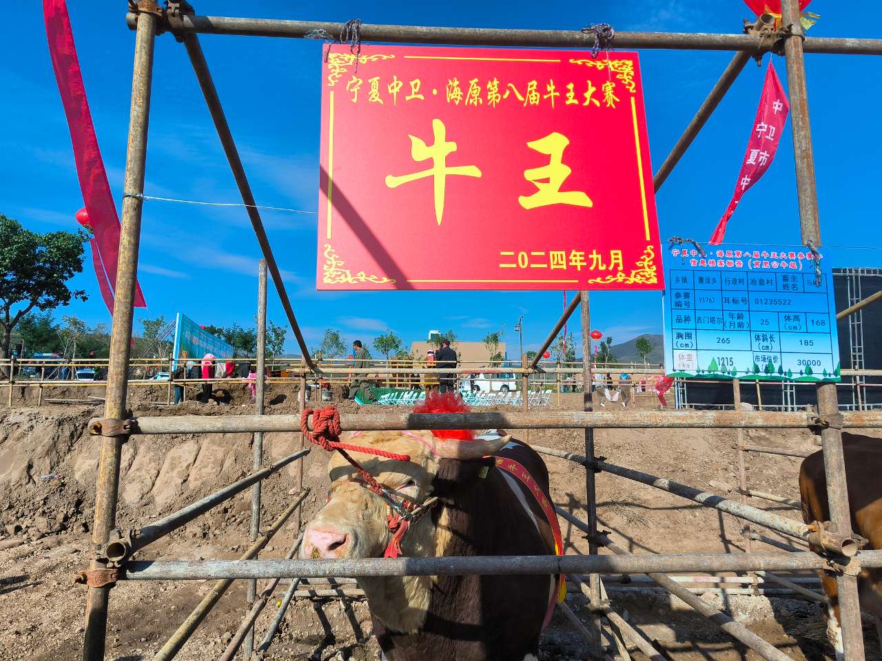 宁夏中卫：特色产业助力乡村越来越“牛”