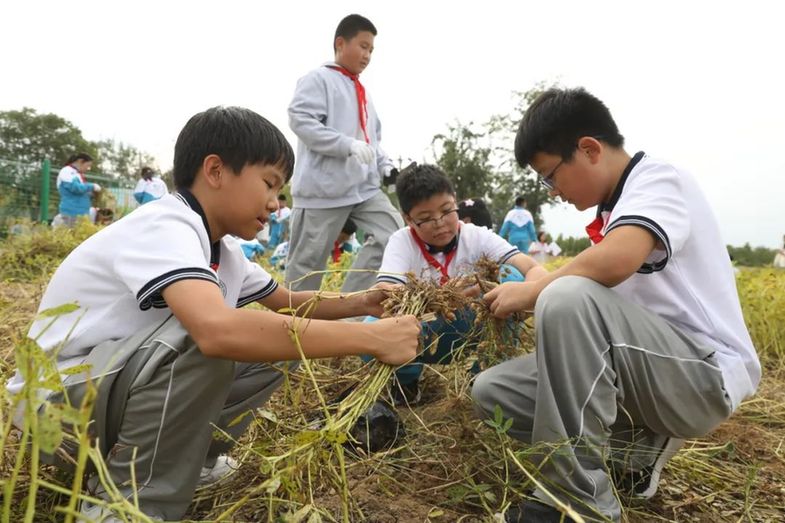 万物生长，绽放生命之光，2024年金盏地区小田长活动圆满闭幕（附有奖问答）