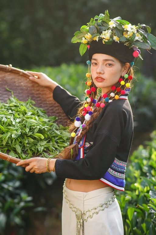 普洱茶＋兰花＋布朗族服饰，这很云南！