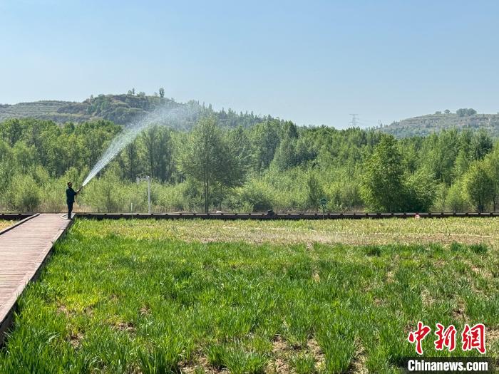 “碳”路先行｜山西静乐：厚植生态底色 汾河流域生态保护修复显成效