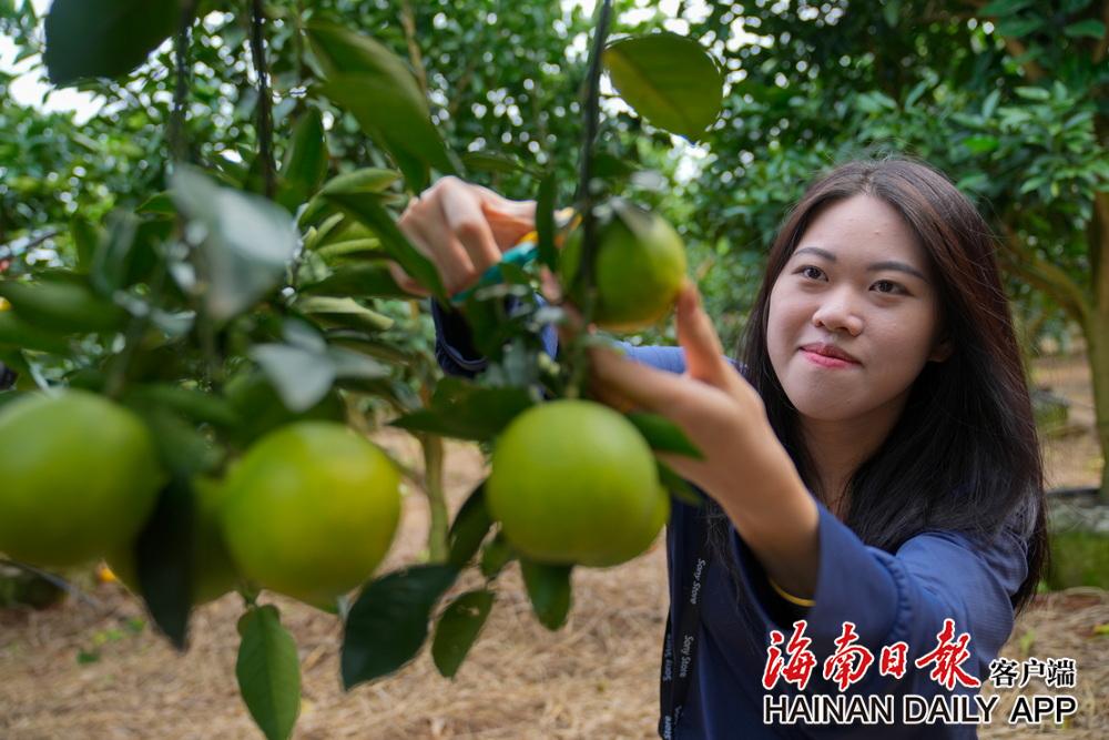 “发现海南大不同”第五期活动沿着环岛旅游公路探寻海南味