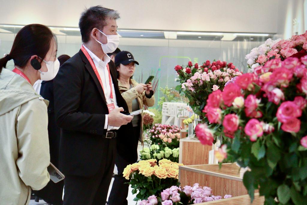 40国外宾在中国春城感受城市发展活力