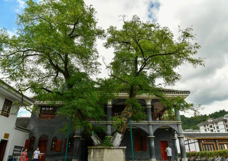 遵义会议精神永放光芒︱长征路上向“新”行·贵州遵义:用好红色资源 传承红色基因