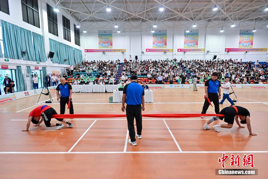 最炫民族风：“大象拔河”力与技的较量