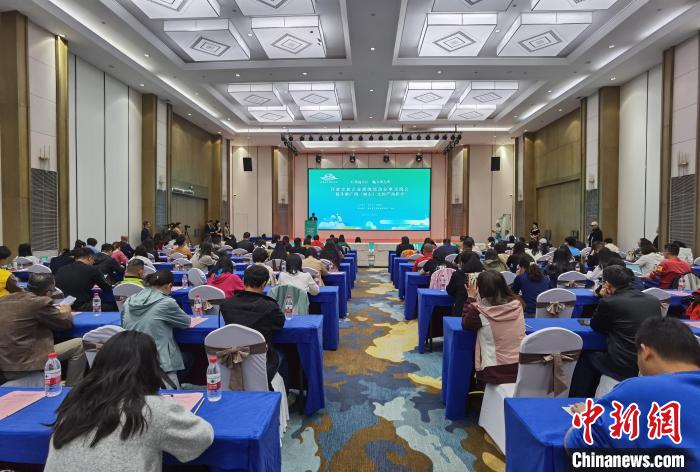 全国百余家文旅企业走进广西崇左 享边关风情觅合作商机
