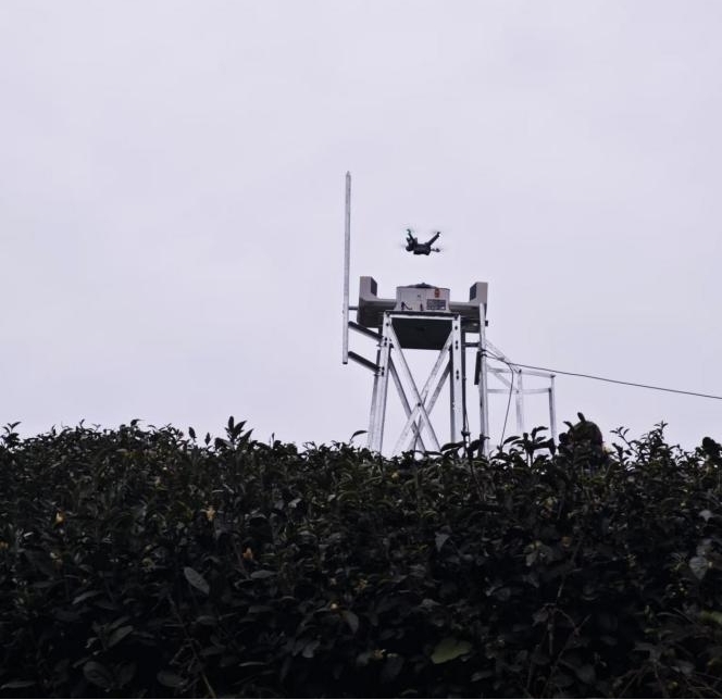 重庆森林草原防灭火从“人工防”向“科技防”“数字防”转变