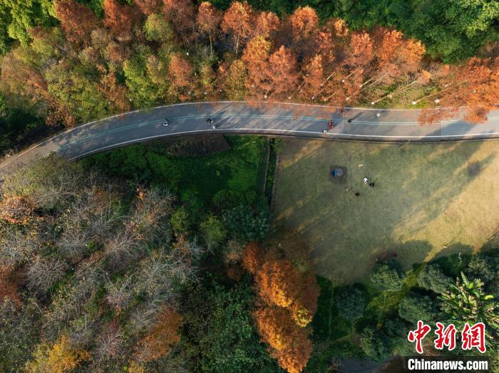 重庆:湿地公园色彩斑斓冬景如画 重庆:湿地公园色彩斑斓冬景如画