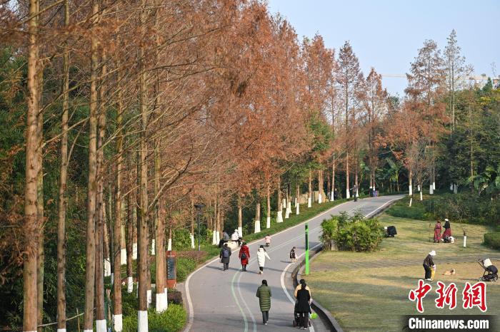 重庆:湿地公园色彩斑斓冬景如画