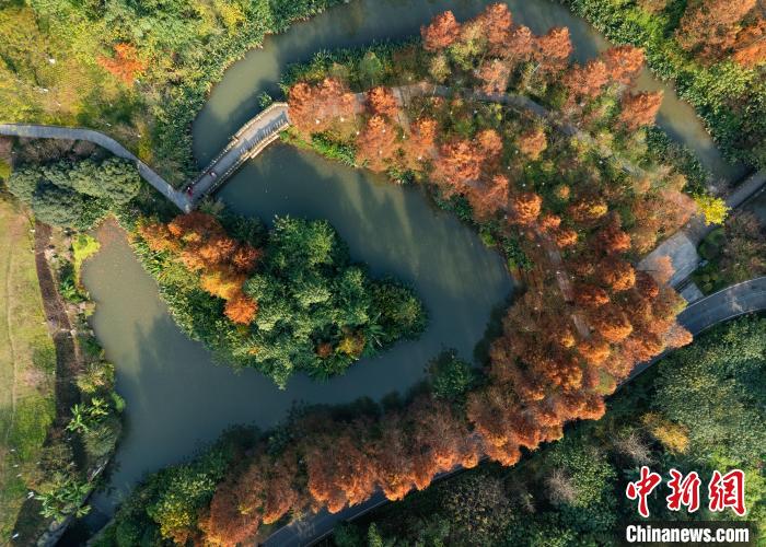 重庆:湿地公园色彩斑斓冬景如画