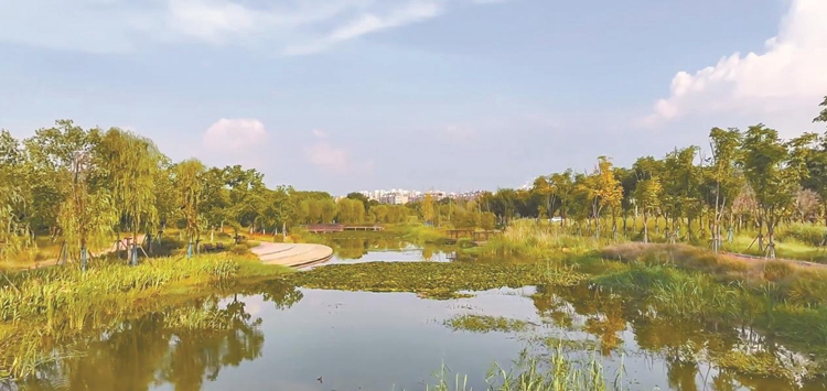 安徽马鞍山雨山区：向山向美 绿富双赢