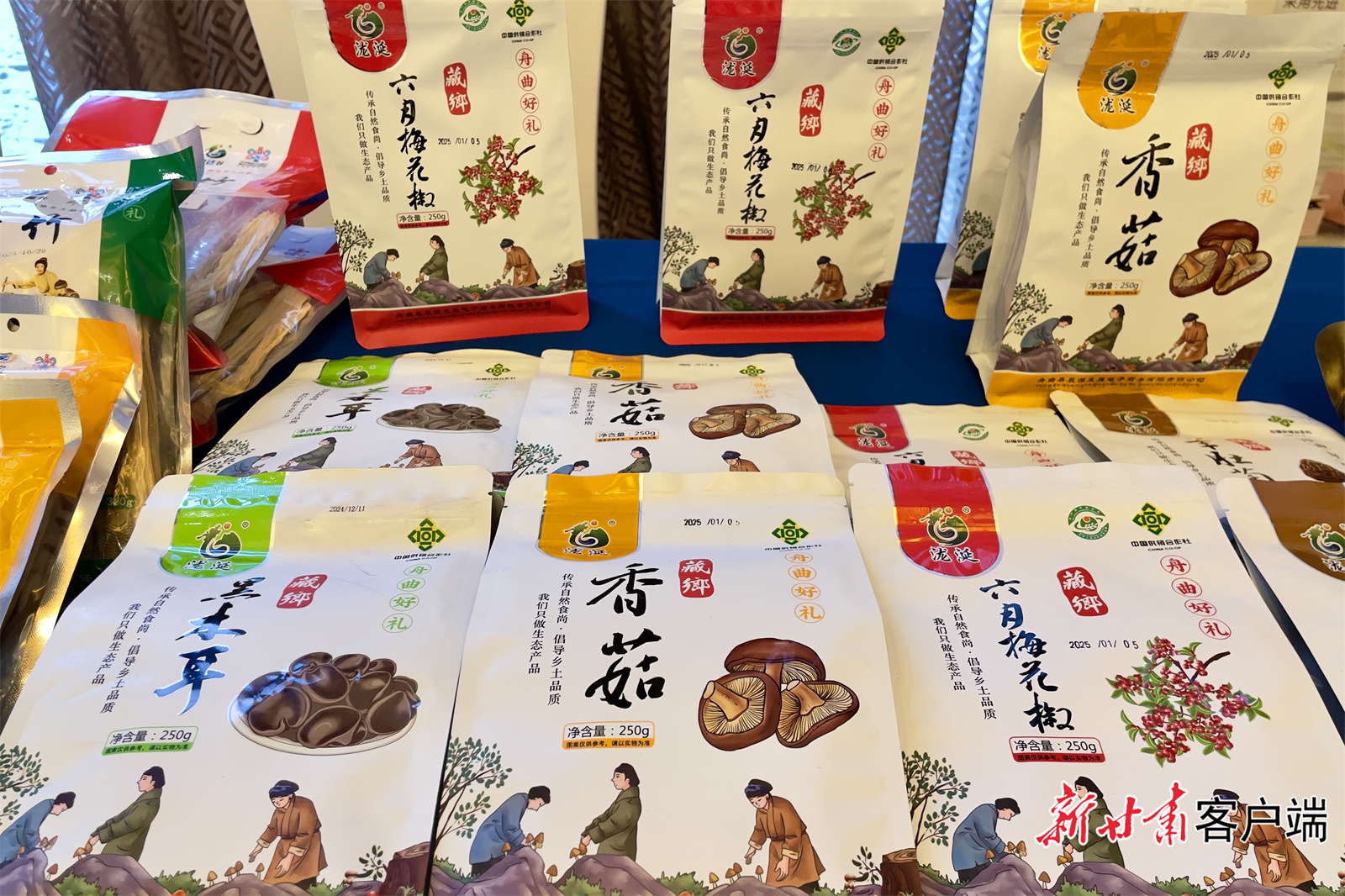 花开舟曲 等你来过民俗年 花开舟曲 等你来过民俗年