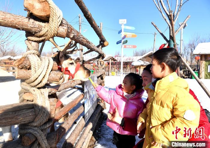 雄安“冬趣” ：畅玩冰雪