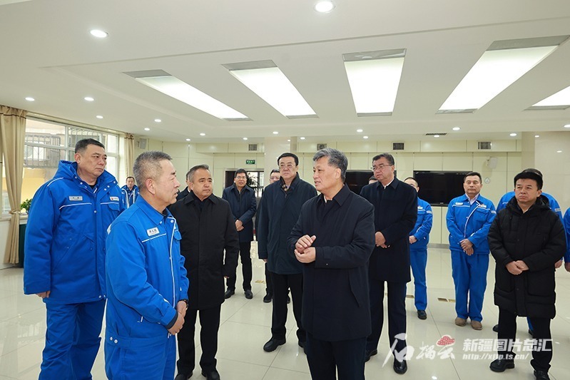 马兴瑞艾尔肯·吐尼亚孜深入有关能源化工企业调研