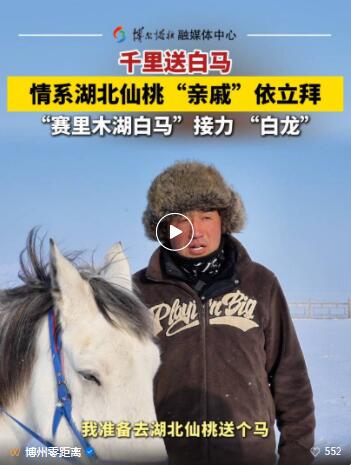 “赛里木湖白马”千里赴仙桃接力“白龙”