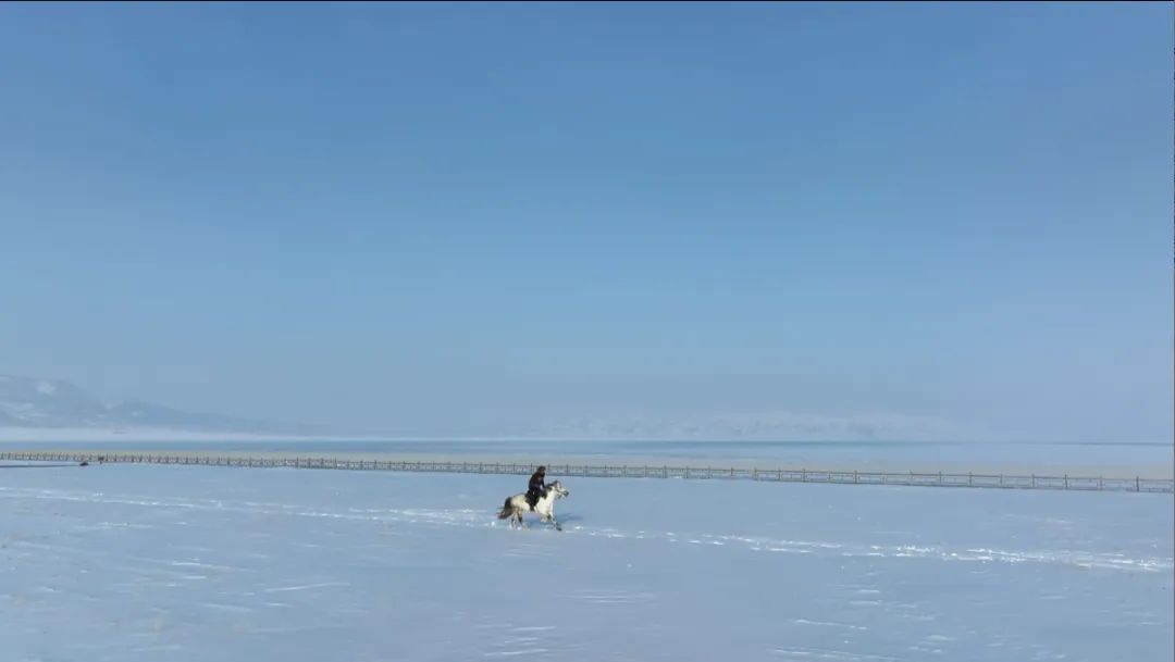 “赛里木湖白马”千里赴仙桃接力“白龙”