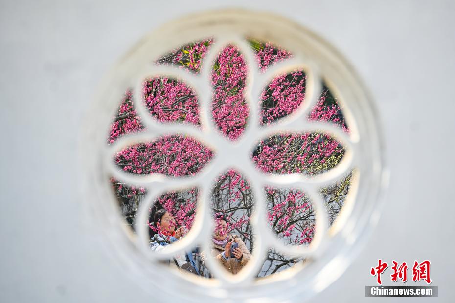 南京古典园林春色如许展恬静之美 南京古典园林春色如许展恬静之美