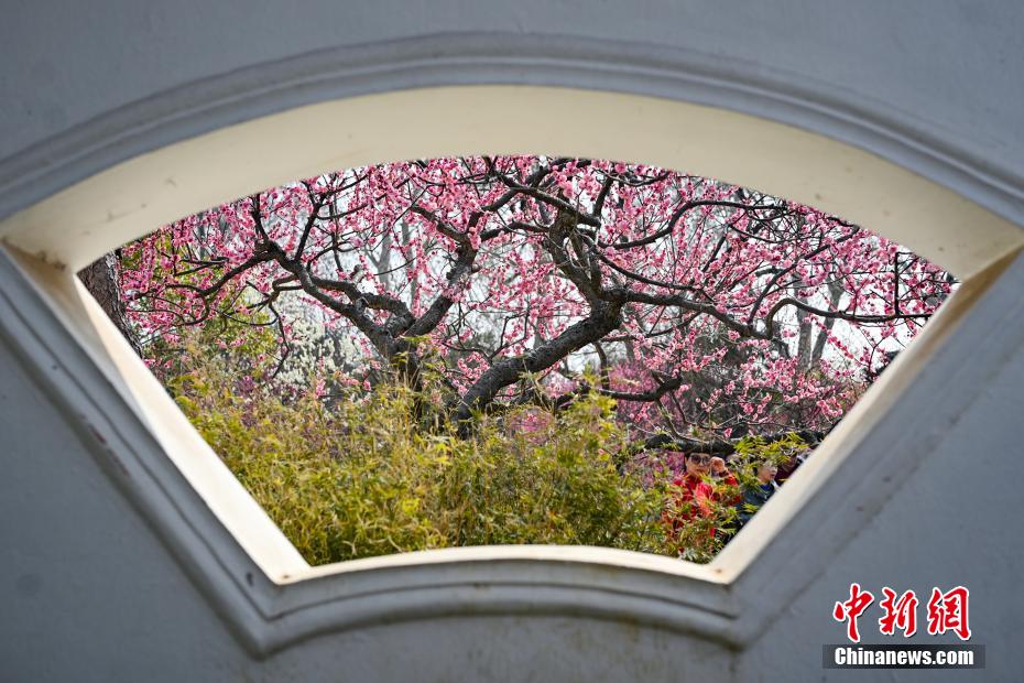 南京古典园林春色如许展恬静之美 南京古典园林春色如许展恬静之美