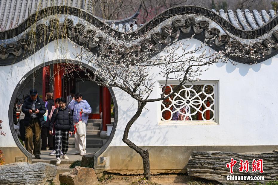 南京古典园林春色如许展恬静之美 南京古典园林春色如许展恬静之美