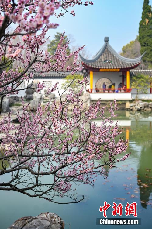 南京古典园林春色如许展恬静之美 南京古典园林春色如许展恬静之美