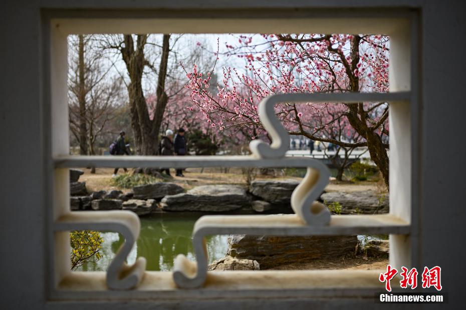 南京古典园林春色如许展恬静之美 南京古典园林春色如许展恬静之美