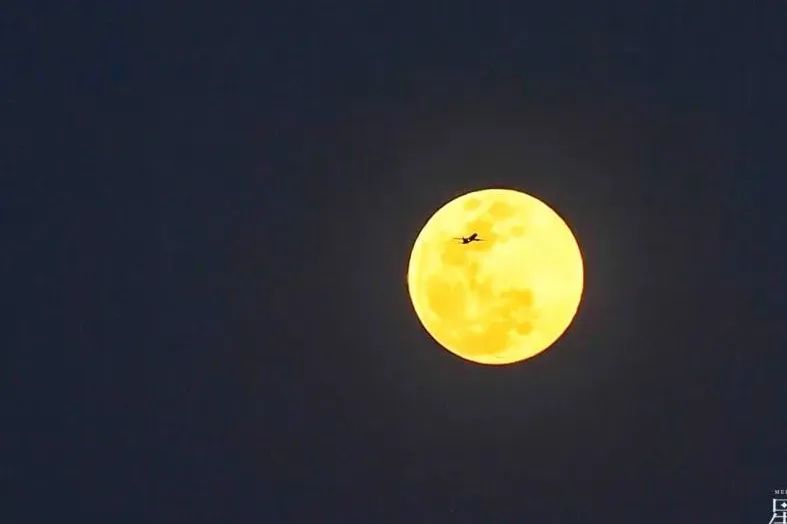 万户千家今夜好 张灯结彩闹元宵！