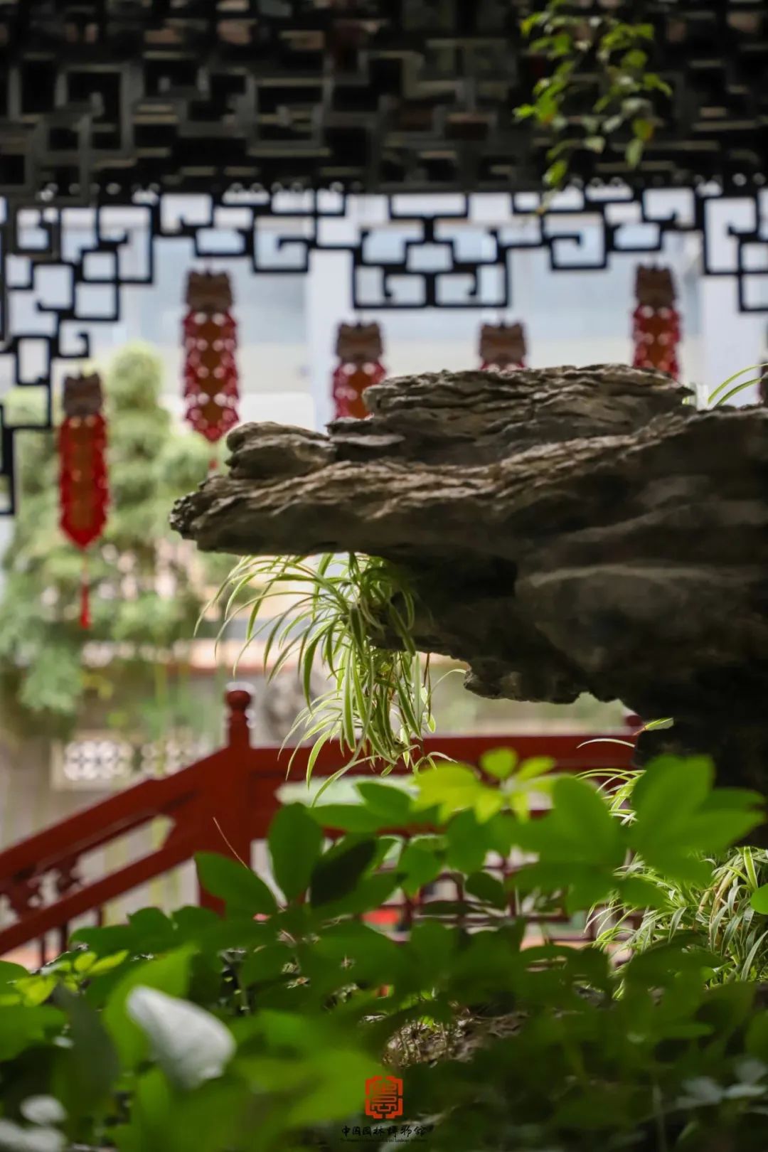 小普说节气 丨 雨水:甘雨时降 万物以嘉