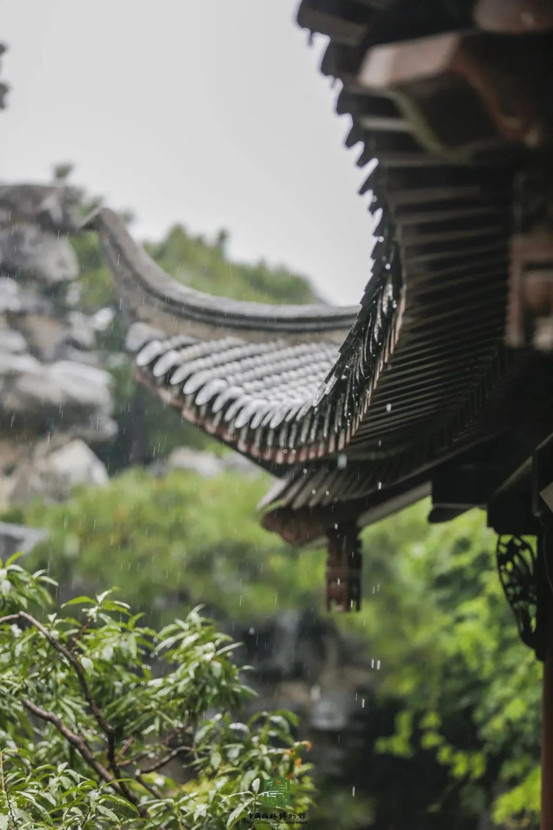 小普说节气 丨 雨水:甘雨时降 万物以嘉