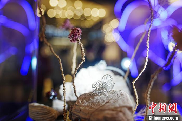 高山花卉艺术展“绽放”昆明