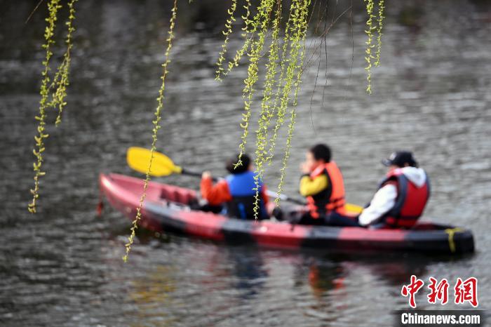 古城南京春暖花开 民众踏青赏景正当时 古城南京春暖花开民众踏青赏景正当时