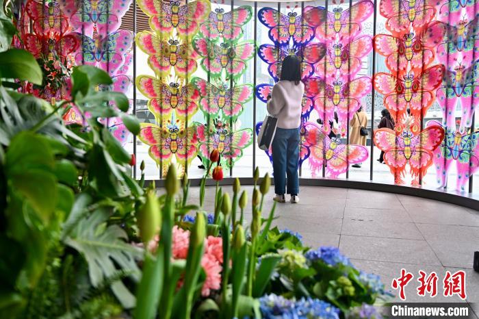 四川成都:千只风筝扮靓城市街头 四川成都:千只风筝扮靓城市街头