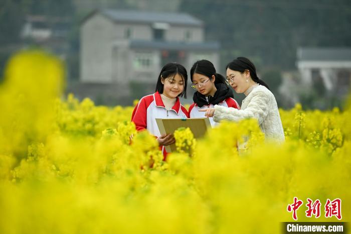 四川眉山:师生走进乡村田间写生创作 四川眉山:师生走进乡村田间写生创作