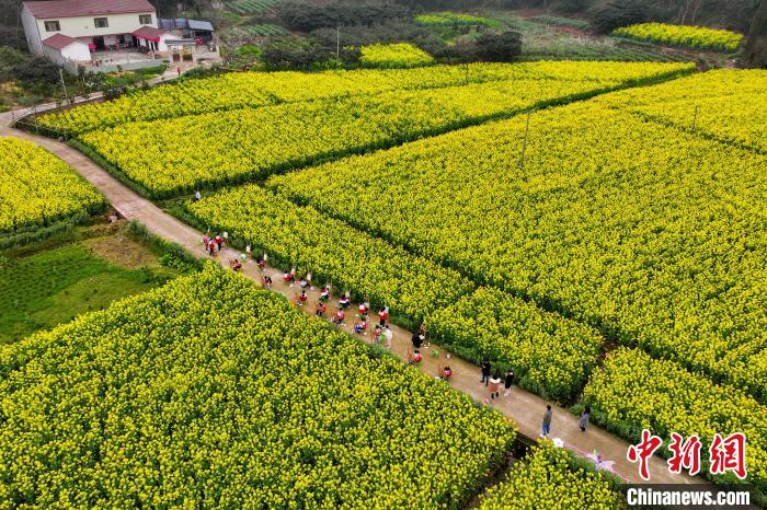 四川眉山:师生走进乡村田间写生创作