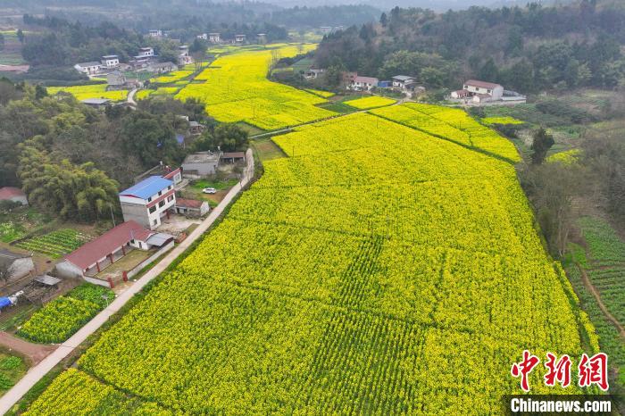 四川眉山:师生走进乡村田间写生创作