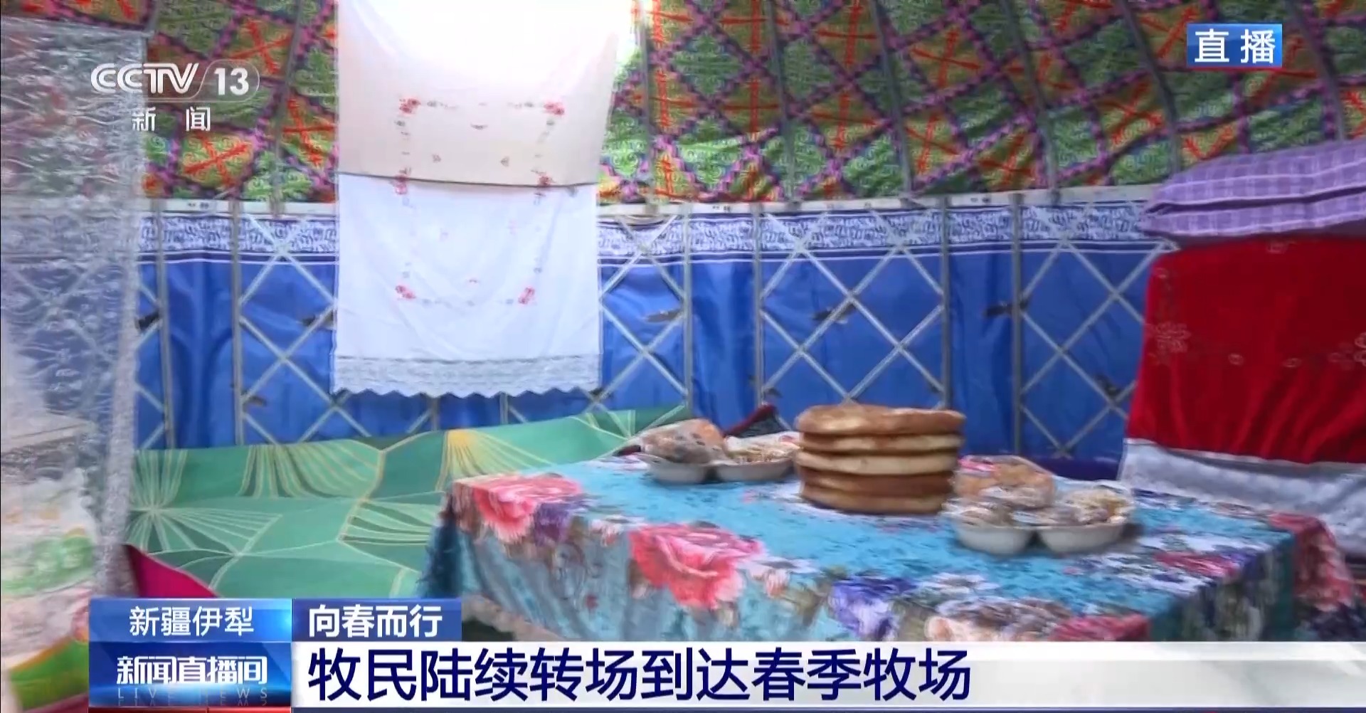羊咩咩穿上了高科技“新衣”！来看新疆伊犁河谷牲畜春季转场
