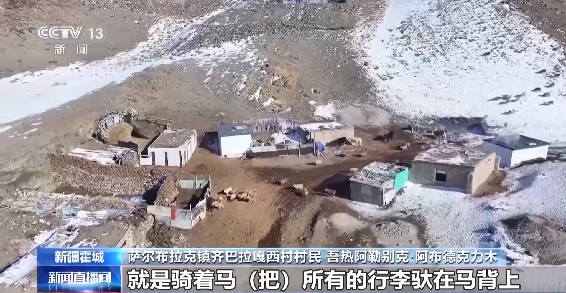 羊咩咩穿上了高科技“新衣”！来看新疆伊犁河谷牲畜春季转场