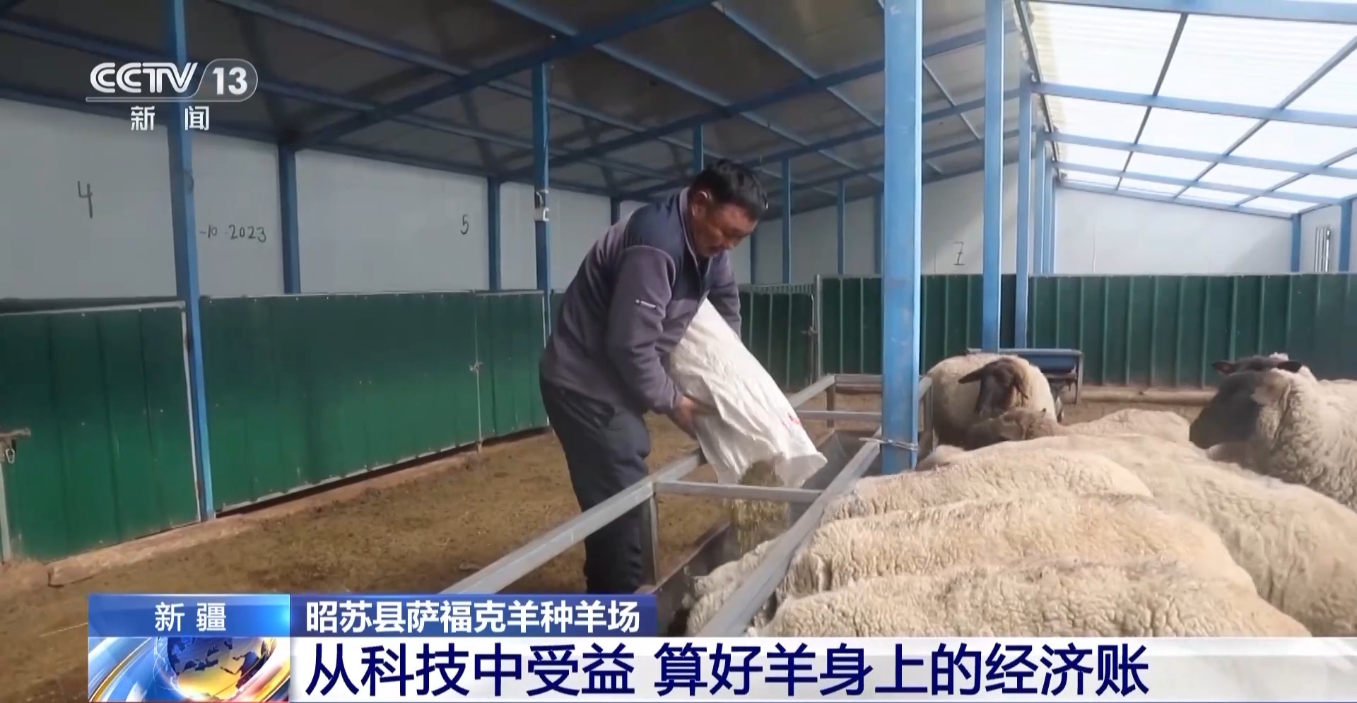 羊咩咩穿上了高科技“新衣”！来看新疆伊犁河谷牲畜春季转场