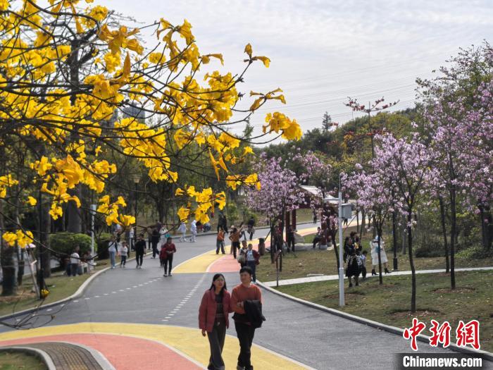 南宁天气晴好 民众公园赏花忙