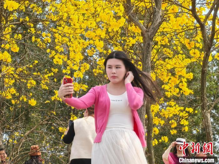 南宁天气晴好 民众公园赏花忙