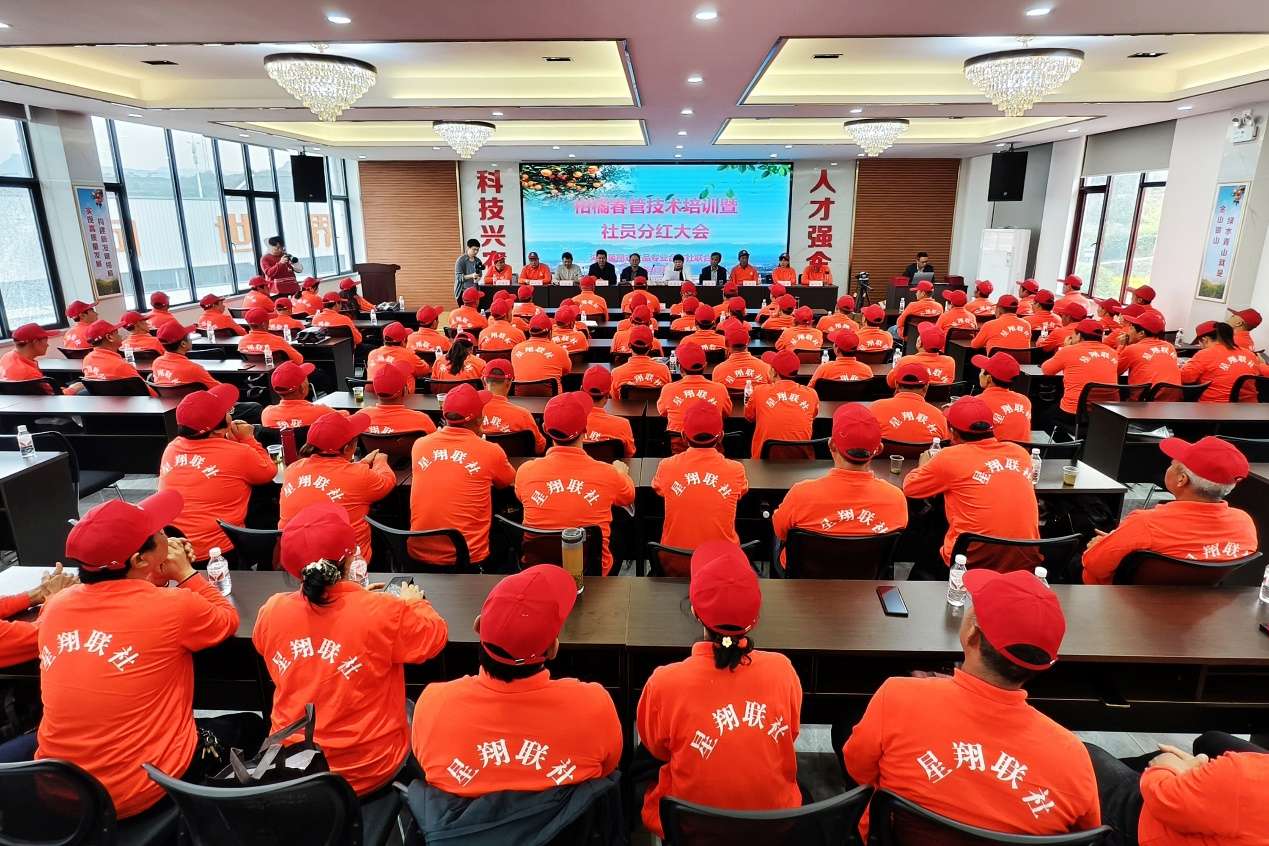 春管培训+分红：湖北夷陵橘农喜领春日“大礼包”