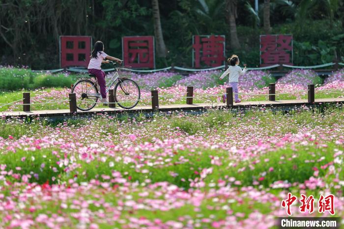 “国际会客厅”博鳌：面朝大海 春暖花开
