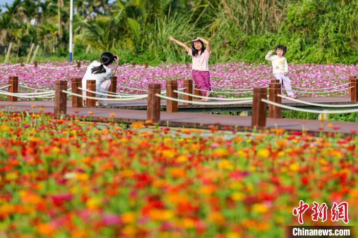 “国际会客厅”博鳌：面朝大海 春暖花开