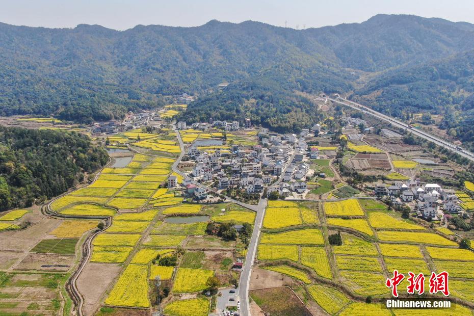 航拍江西庐山脚下春日田园 金色油菜花开美如画 航拍江西庐山脚下春日田园 金色油菜花开美如画