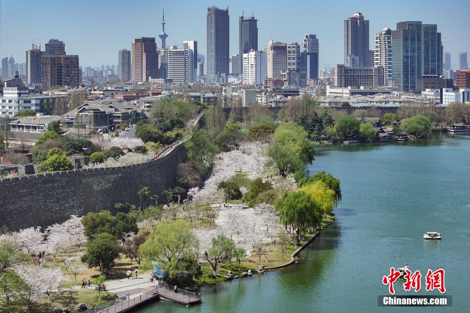 山水城林美如画 航拍古城南京春日胜景
