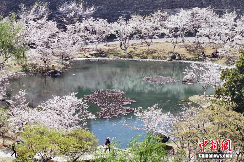 山水城林美如画 航拍古城南京春日胜景 山水城林美如画 航拍古城南京春日胜景