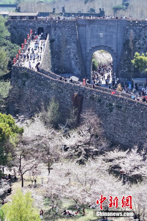 山水城林美如画 航拍古城南京春日胜景