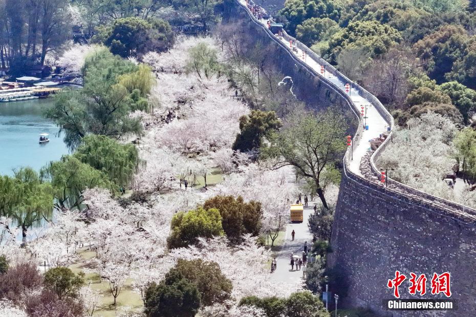 山水城林美如画 航拍古城南京春日胜景 山水城林美如画 航拍古城南京春日胜景