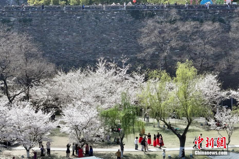 山水城林美如画 航拍古城南京春日胜景 山水城林美如画 航拍古城南京春日胜景